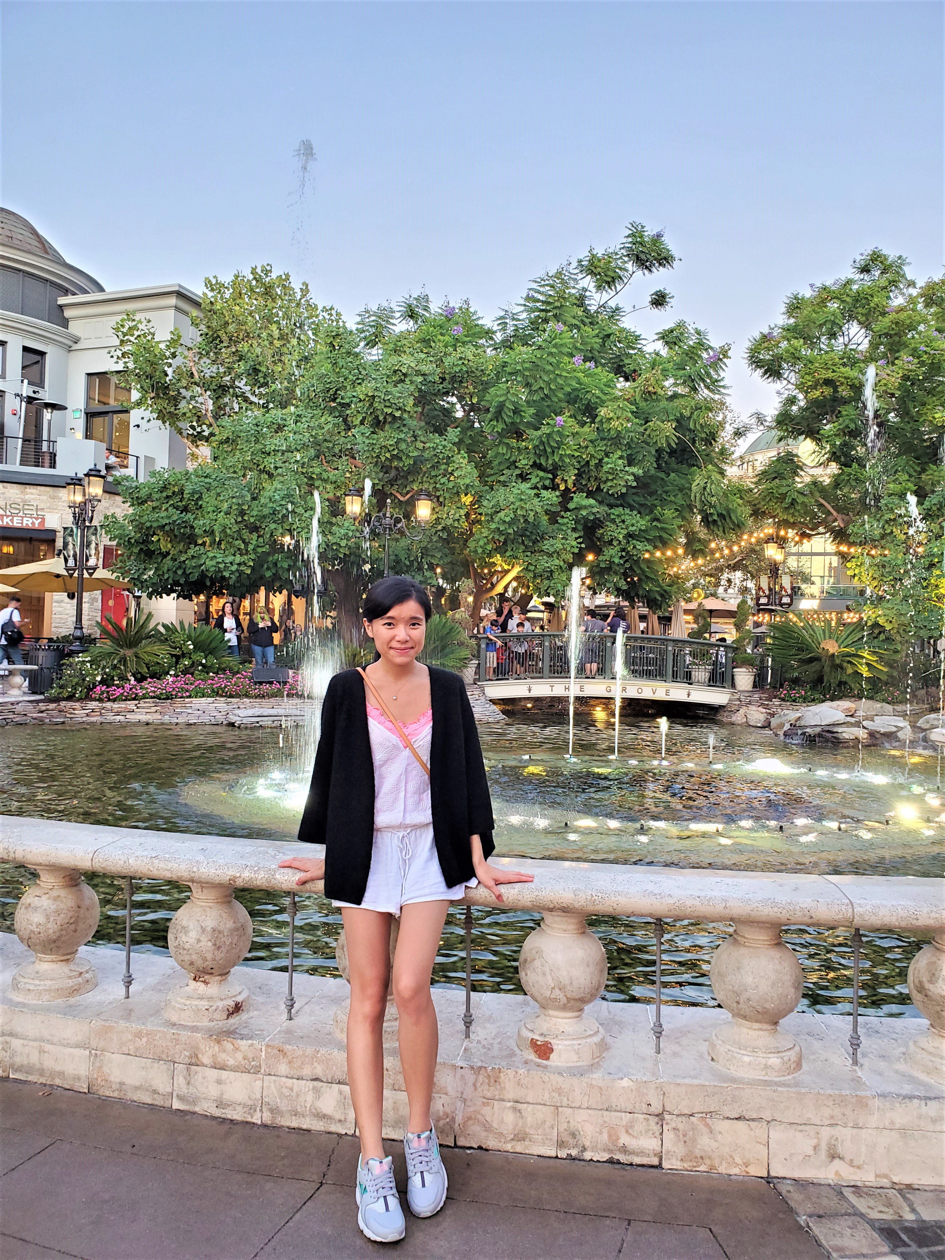 The Grove LA Water Fountain