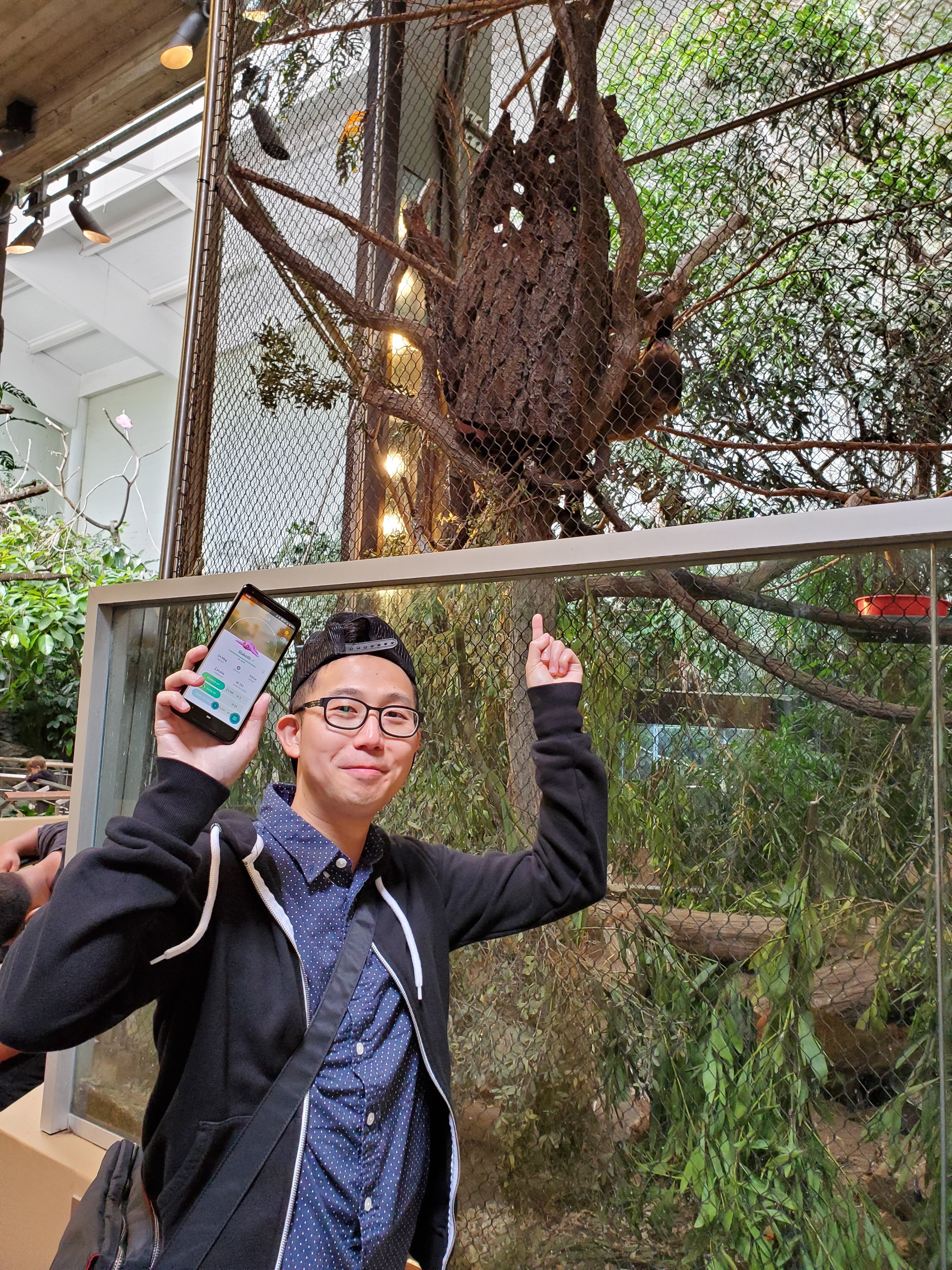 Eric , Sloth, Slakoth on Pokemon Go