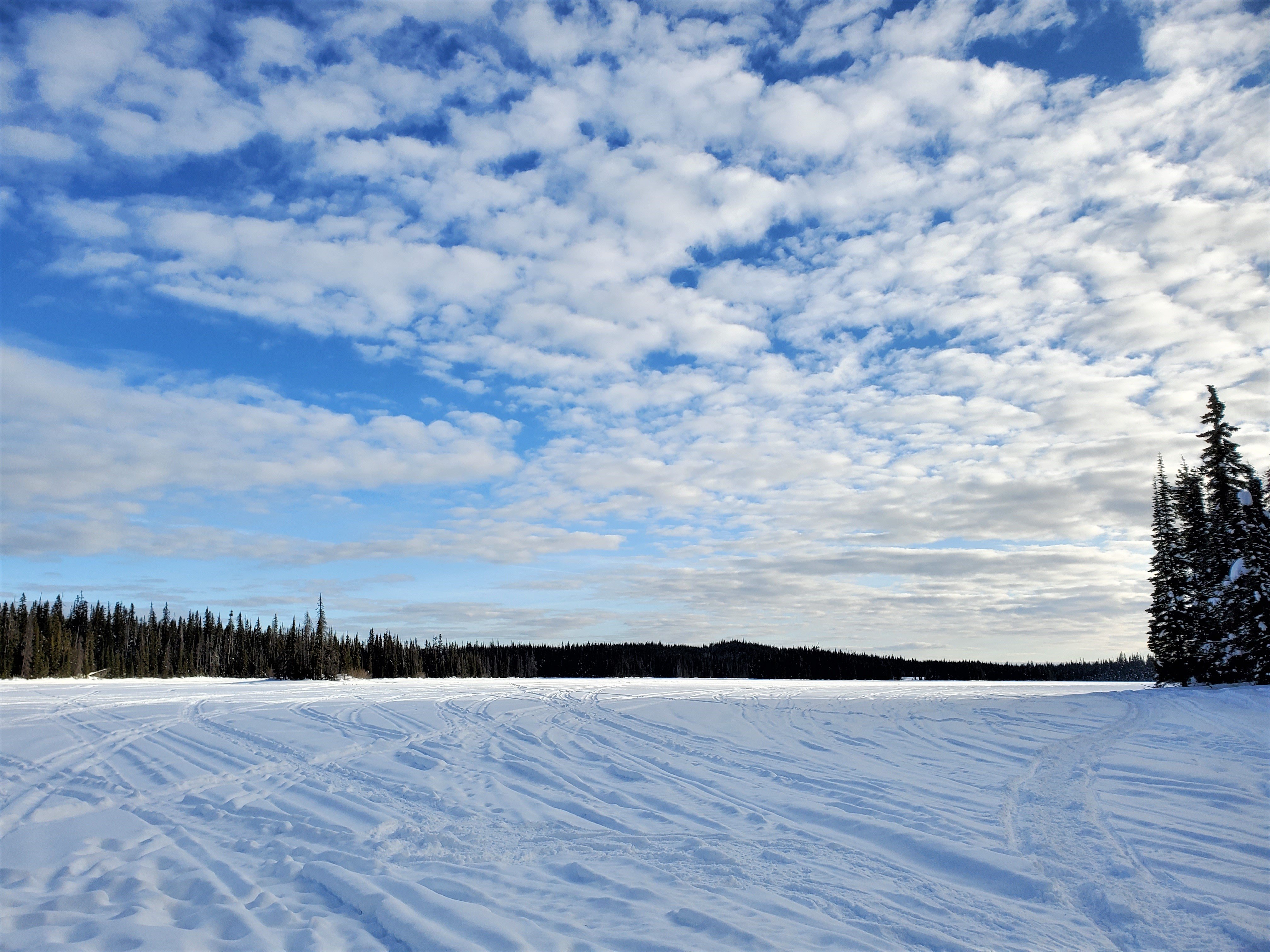 Snowmobile Tour at Sun Peaks Resort