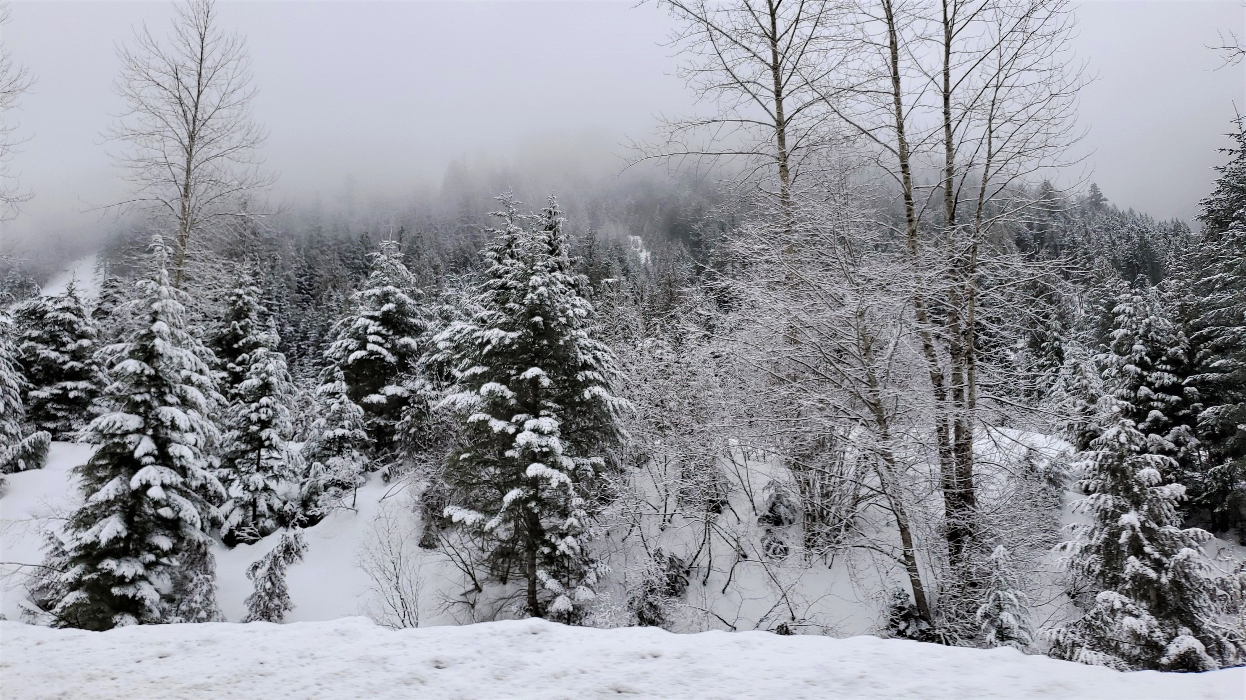 Coquihalla Highway