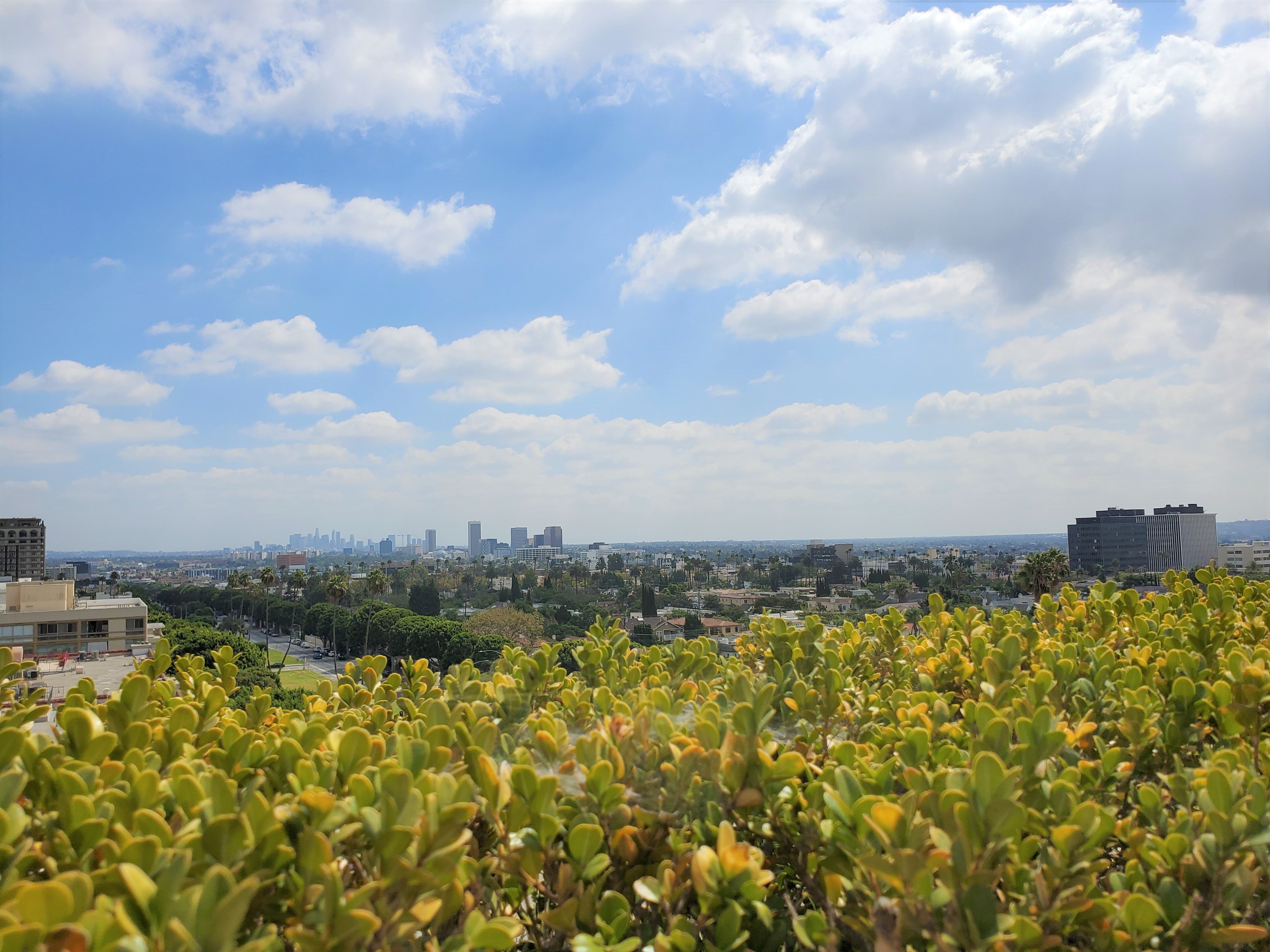 Viecroy L'Ermitage Beverly Hills rooftop view
